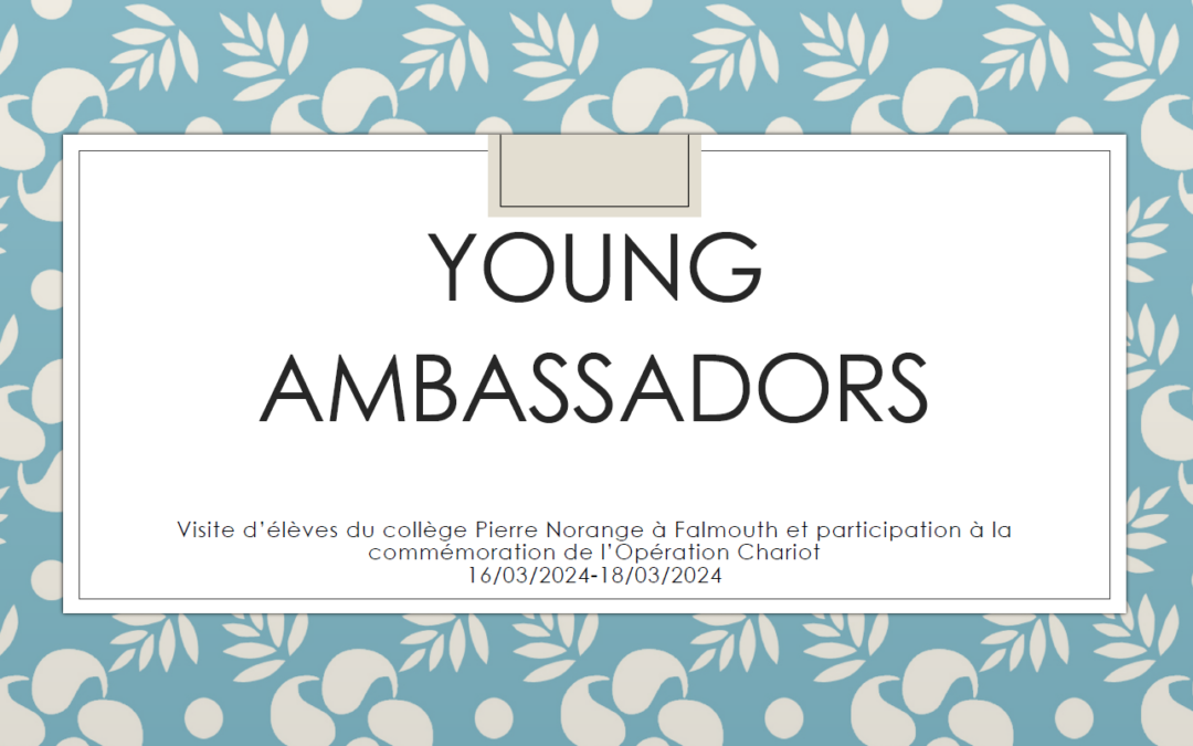 Young Amabassador : Séjour à Falmouth